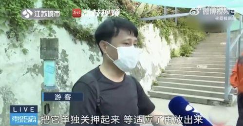 男朋友看网红吃瓜视频,揭秘娱乐圈幕后故事