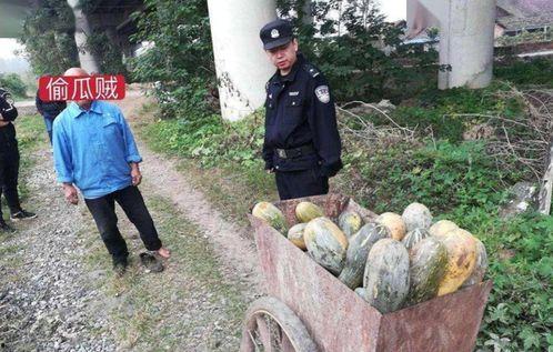 永年网红吃瓜事件真相,揭秘背后真相与反思