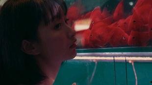 吃瓜少女网剧,揭秘娱乐圈背后的秘密与真相