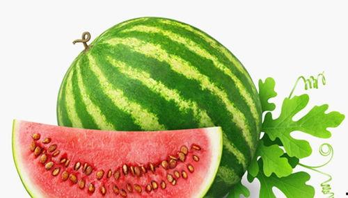 网红吃瓜情报处