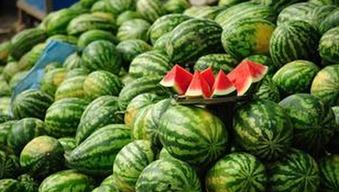 每日大赛官网吃瓜黑料,吃瓜黑料背后的真相与内幕