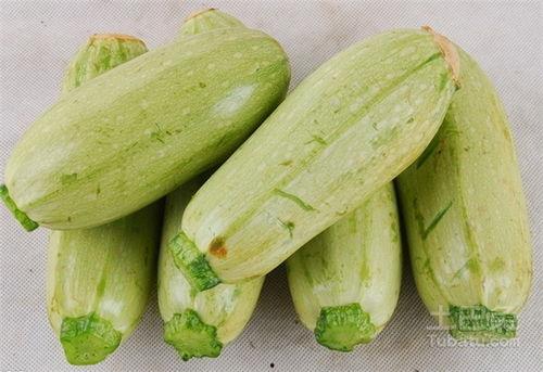 吃瓜百科首页官网