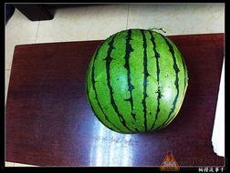 17吃瓜官网最新,揭秘娱乐圈最新热点，带你畅游八卦海洋