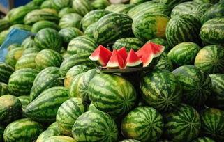 南京网红吃瓜事件真相,揭秘背后真相与争议