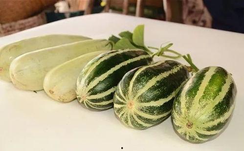 东北吃瓜网红叫什么