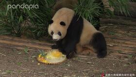 暴走吃瓜官网,揭秘娱乐圈幕后真相，带你领略不一样的娱乐世界