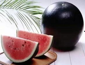 黑暗吃瓜官网,探寻网络暗流涌动的秘密世界