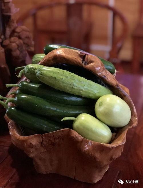 网红瓜到底在哪里吃的多,探寻瓜界热门打卡地