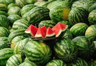 水镇网红事件吃瓜