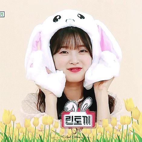 吃瓜小熊韩网热帖视频,吃瓜小熊视频引发网友狂欢，揭秘幕后故事