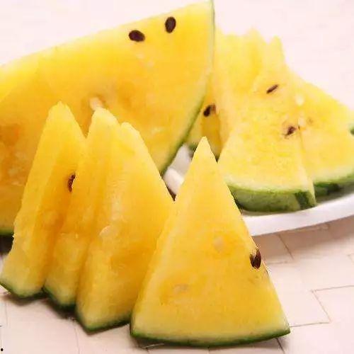 黑网料吃瓜网地址,追踪网络暗流涌动的秘密角落