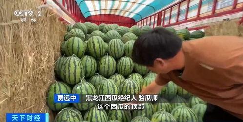 国内吃瓜网群,热门话题背后的真相与笑料