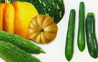 吃瓜网是什么瓜,带你领略网络世界的“瓜田”盛景