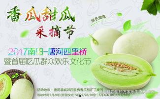 网红大咖与吃瓜群众,网络时代的互动与影响