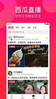 吃瓜官网免费视频观看网站,免费视频盛宴，畅享无界限